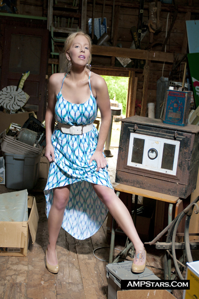 Random Image Example